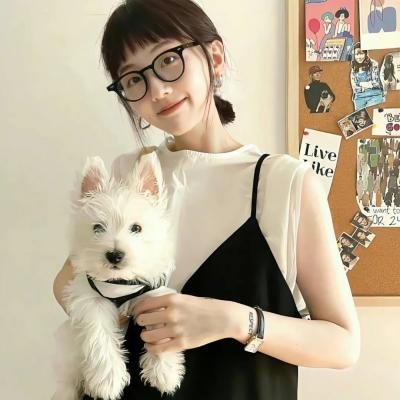 狗的审判